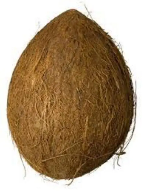 Лучший индийский кокос/полуочищенный кокос/свежий кокос!