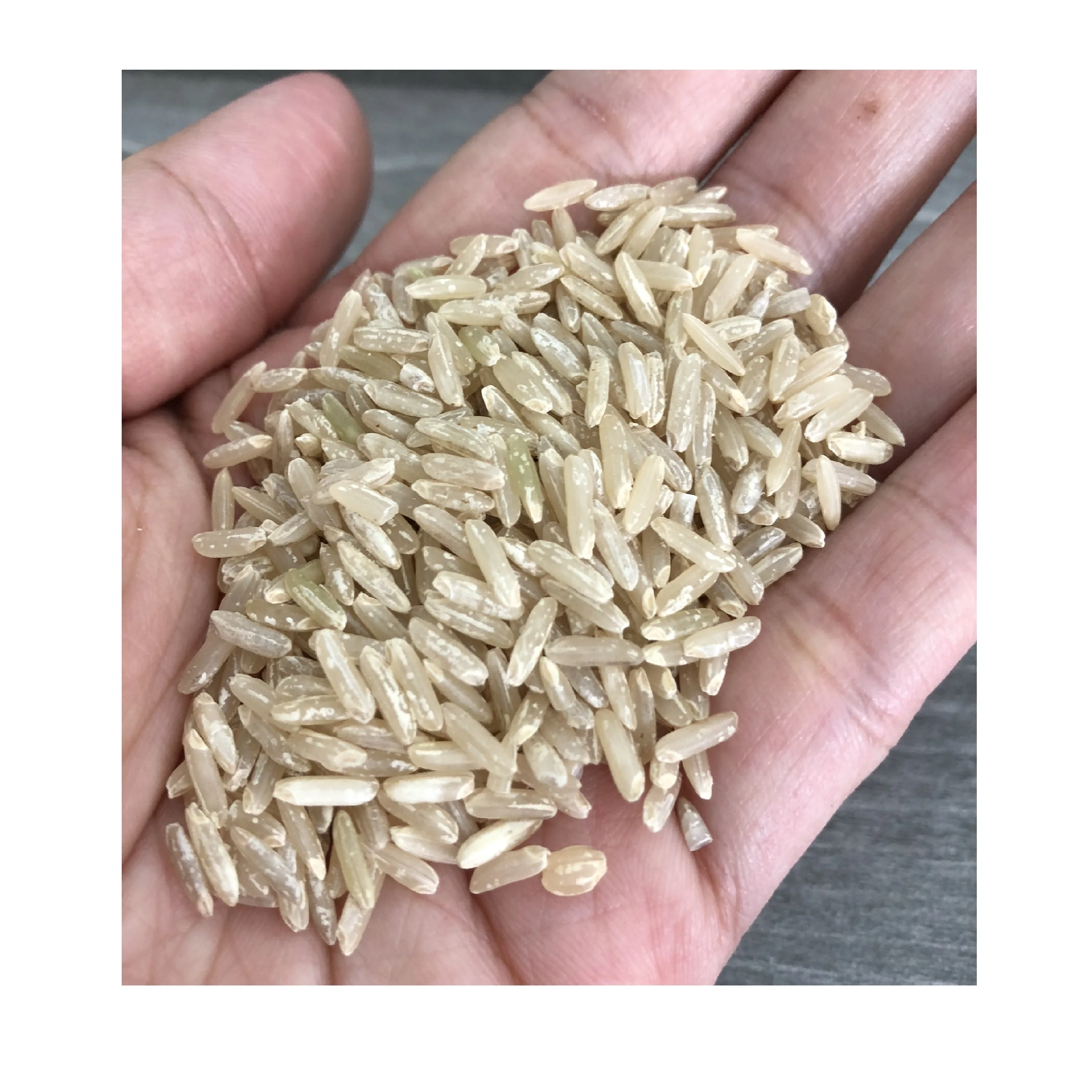 HIGH QUALITY VIETNAMESE 24 MONTHS SHELF LIFE WHOLESALES RICE WITH ISO HACCP BROWN RICE LONG GRAIN MANUFACTURED BY JCC RICE