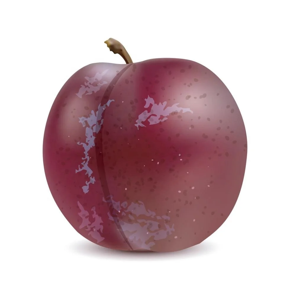 High Quality Sweet Black Fresh Plums
