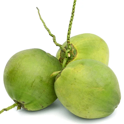 Fresh Organic Young Coconuts for sale/ Buy Green Coconuts