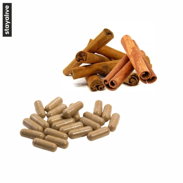 OEM Private Label Service Vegetarian 100% Natural Ceylon Cinnamon Capsules | Non-GMO & Gluten Free Supplement