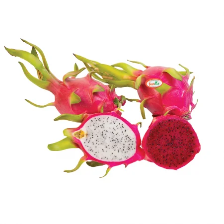 Fresh Dragon Fruit from Vietnamese Supplier with the Most Competitive Price