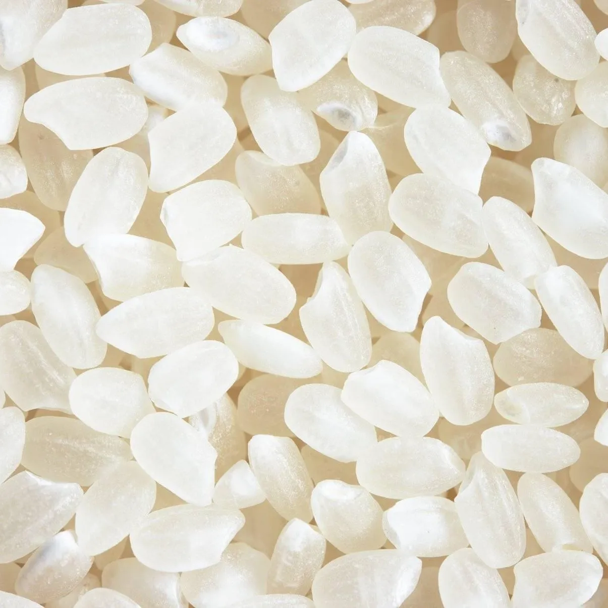 NON GMO HIGH QUALITY WHOLESALE JAPAN SUSHI RICE RIZ, JAPONICA RICE BROKEN 5% 5KG 10KG 25KG BAG SHORT/ROUND GRAIN, EXPORT