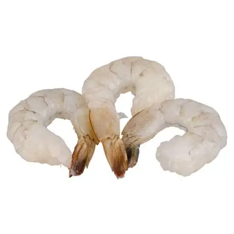 Spot-tail Mantis Shrimps Fresh Frozen Whole Shrimps, white Shrimps wholesale
