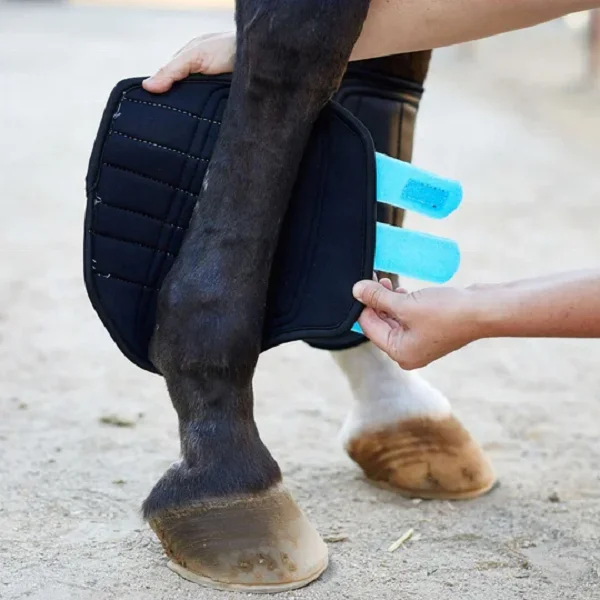horse brushing boot Neoprene padding support soft lining prevents rubbing Strong hook loop straps anatomically Manufacturers