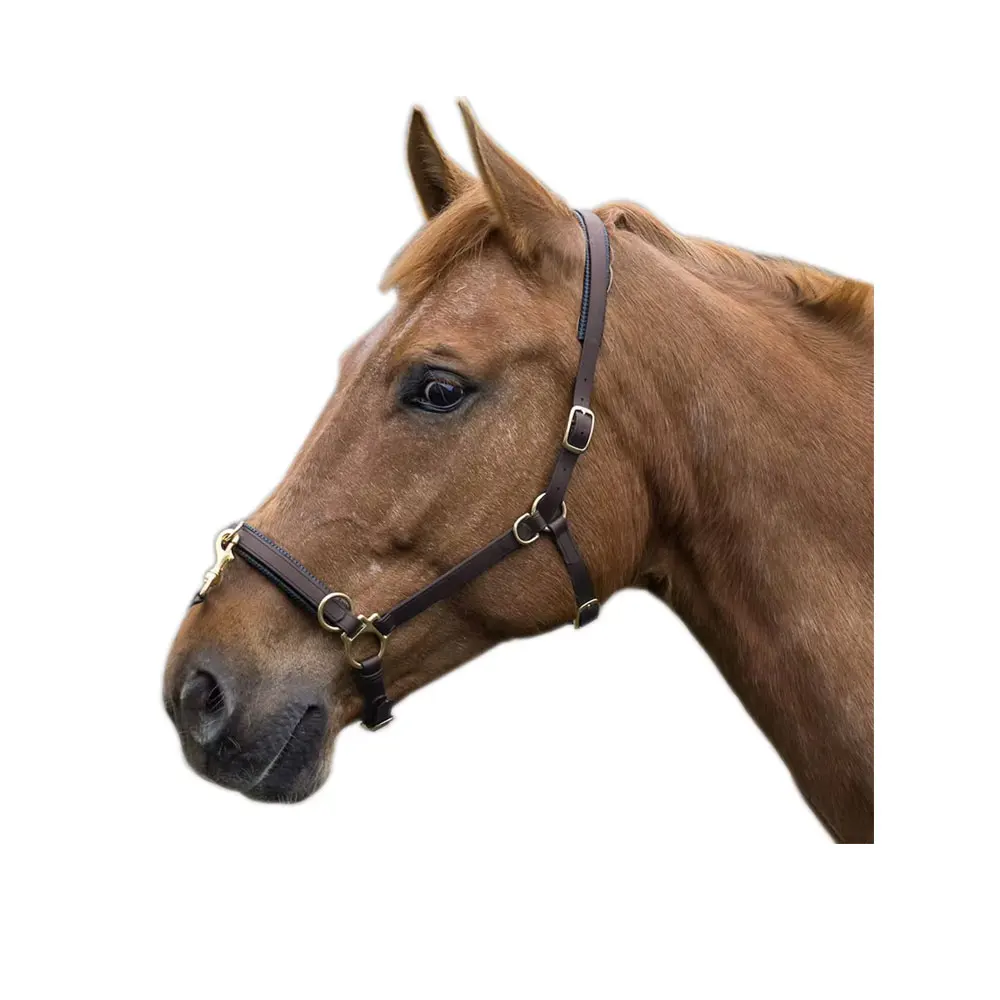 Высококачественная прочная мягкая конная кожа с мягкой подкладкой биотановые уздечки удобной головкой оптовая продажа от производителя