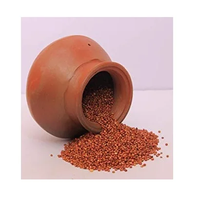 Wholesale Best Price Supplier Red Sweet Sorghum Fast Shipping (11000008249730)