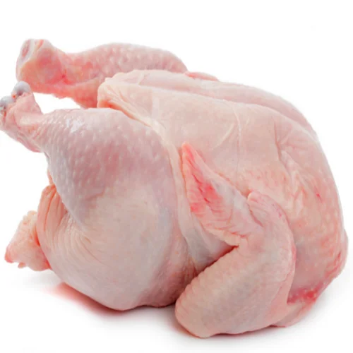 High grade HALAL certified vacuum packing products from manufacturer netherlandS whole chicken body carcass for food