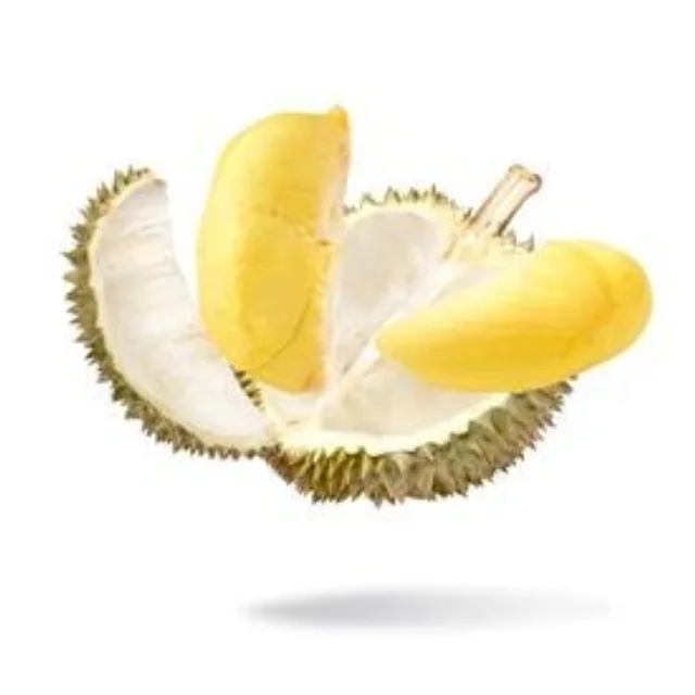 Frozen Durian Monthong High Season From Thailand 2022 Natural Frozen Fruits Premium Quality