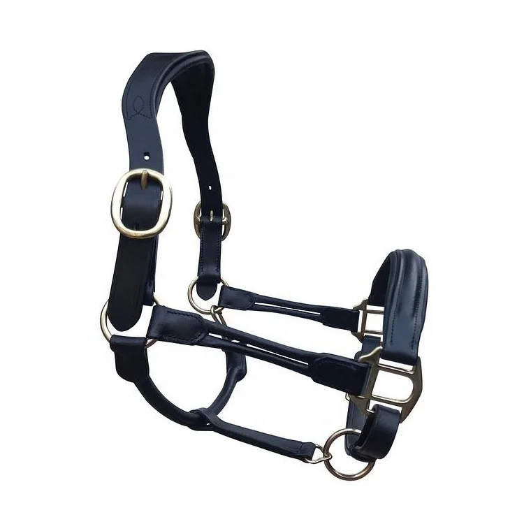 High Quality Outdoor Sports Horse Riding Equipment Adjustable Horse Halter Horse Bridle New Nylon Head Collar