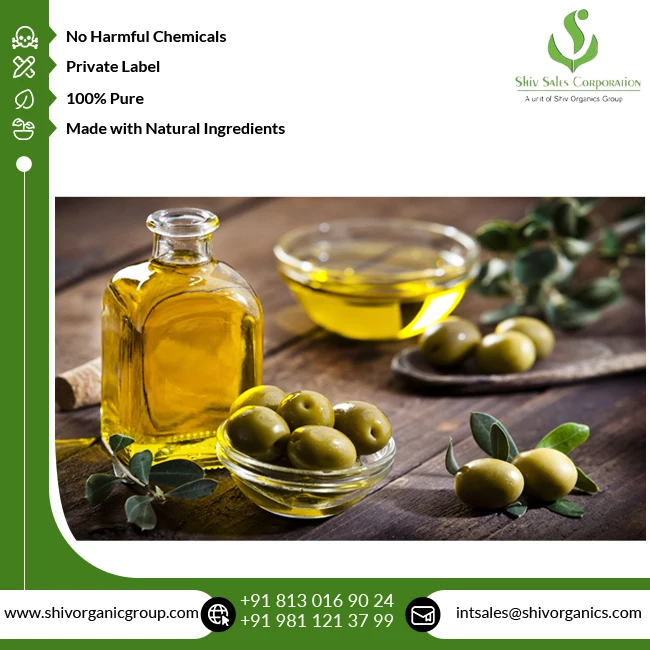Worldwide Selling Superior Quality Bulk Sale Natural Cold Pressed 100% Pure Olive Oil at Wholesale Market Price