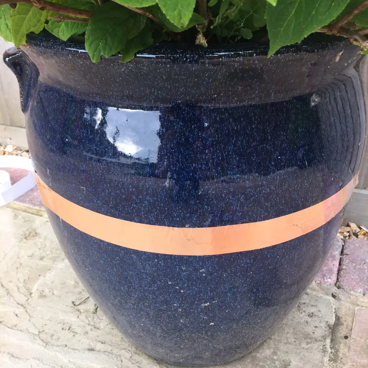 Slugs Away Barrier Tape Adhesive Copper Tape For Pots and Plants Protection From Slugs and Snails