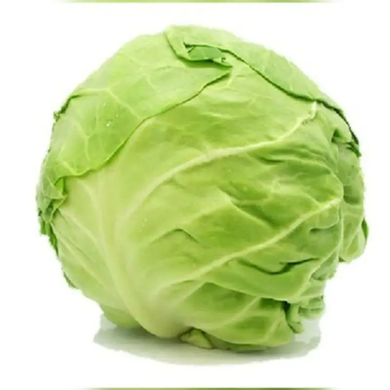 Cabbage fresh vegetable in customize pouch packing by sea / air / courier export