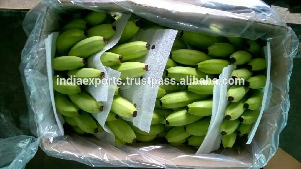 2022 Made In India 100% Natural FRESH TROPICAL BANANA from Kinal Global Care for Food & Beverage