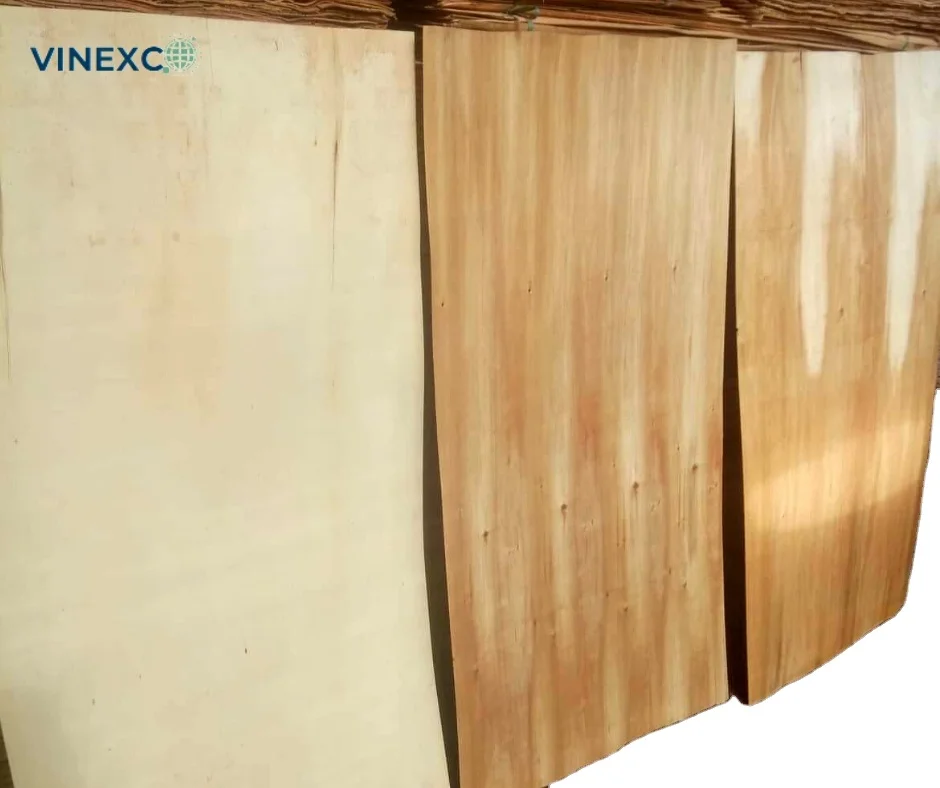 wood core China market eucalyptus and acacia for making paper core veneer