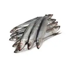 Frozen Anchovy Fish  Wholesale  cheap price