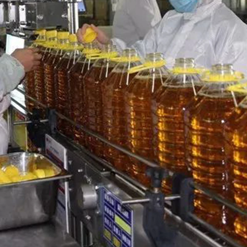 100T Cotton Seed Oil Making Machinery Huatai Vegetable Seed Oil Making Machine Automatic Oil Production Line