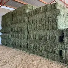 Alfalfa Hay/Timothy Hay and Other Hay Types For Animal feed