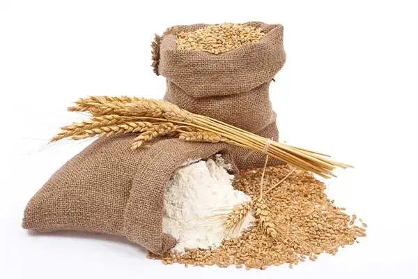 Wheat Flour Natural Product First Grade Meets All Modern Quality Standards White Wheat Flour Price