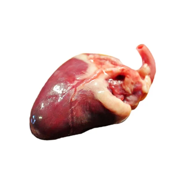 wholesale Top quality Chicken Heart, Gizzards, Livers, Breast Cartilage  Low Price