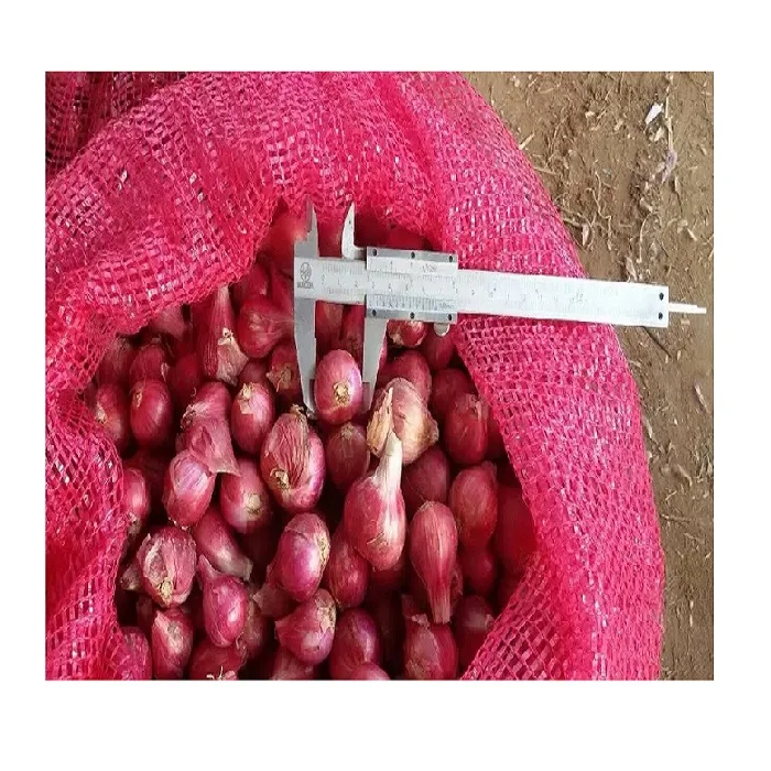 Качественный свежий красный лук из Таиланда сельскохозяйственная продукция