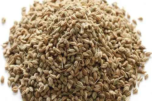Best Selling Spices Ajwain  Bulk Export at Wholesale Price THE ELITE HERBALS