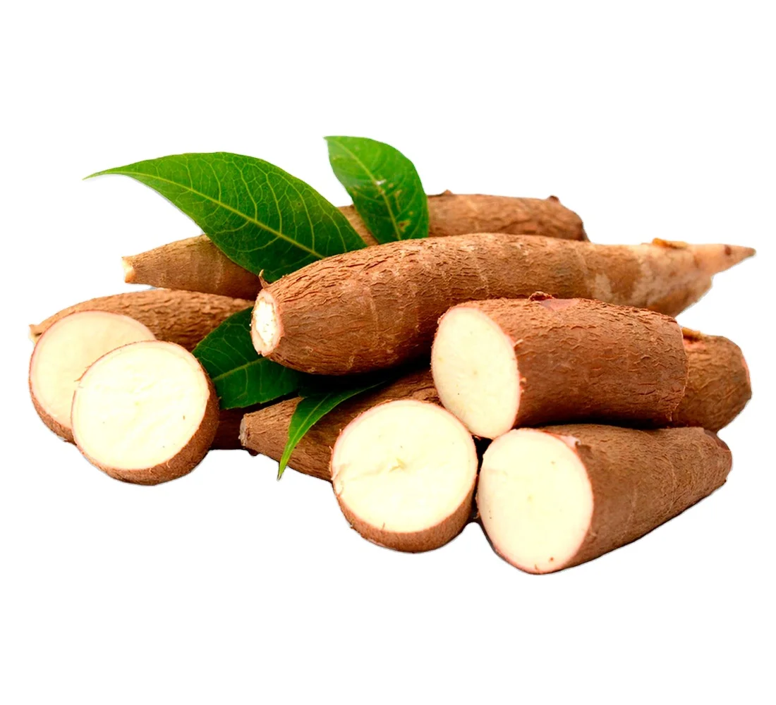 Hot Item Frozen Cassava IQF with High Quality and Cheap Price / Best Seller from Vietnam Vegetables