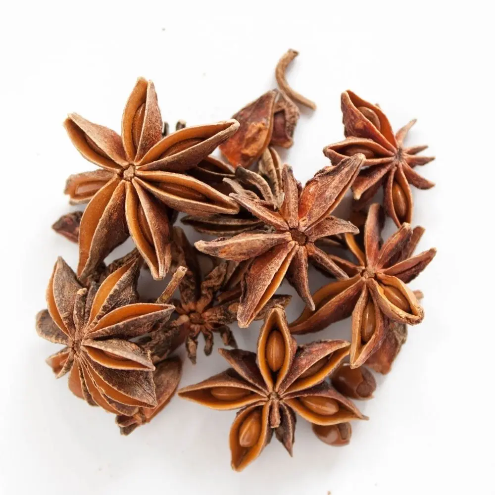 Import export star aniseed popular star anise seeds spices anise flower