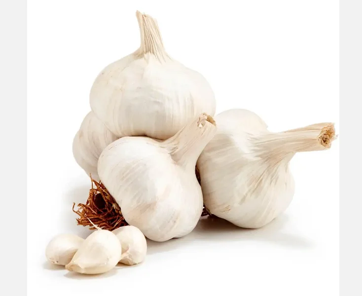 Wholesale Newest Crop Sumatra Red Onions Fresh and Original from Indonesia Premium Quality Onion Suppliers