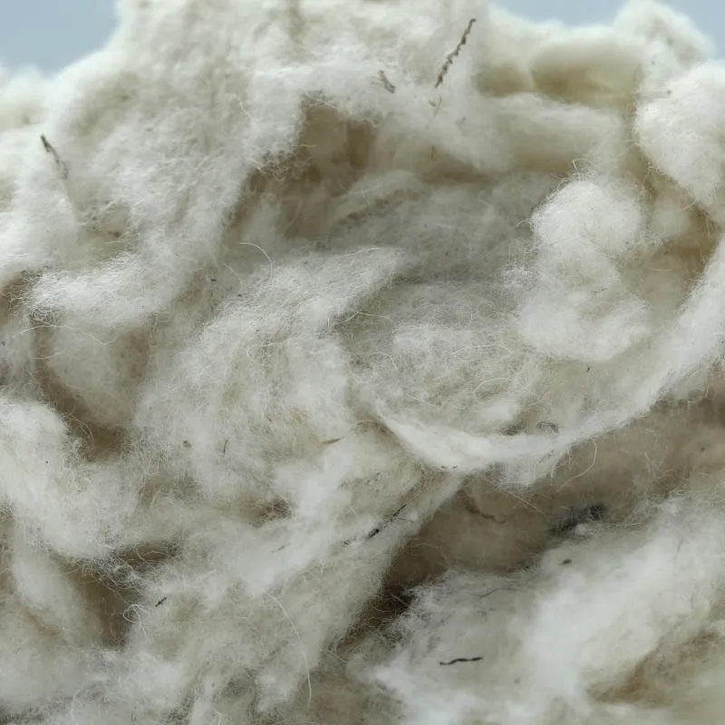 Wool Fiber