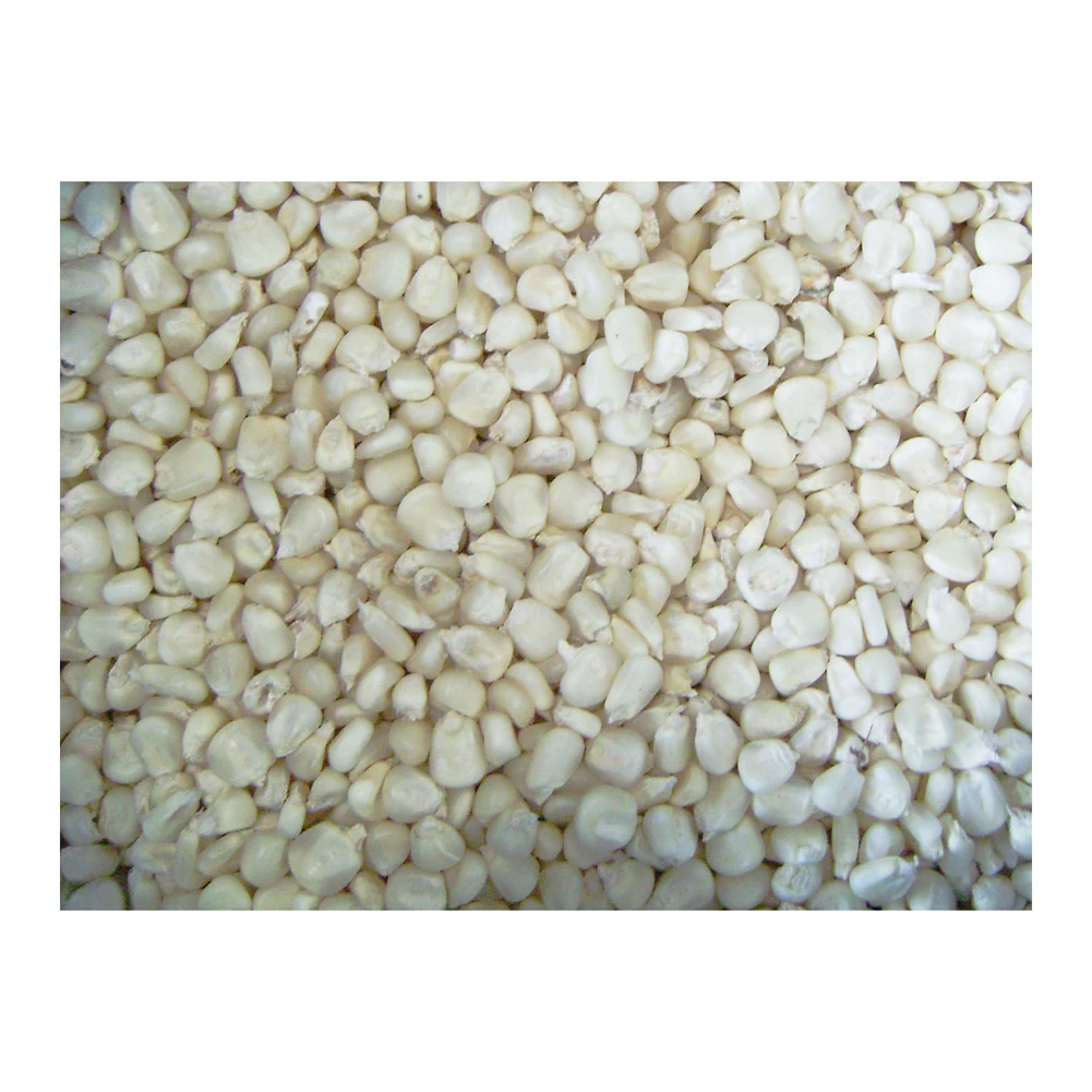 Non-GMO White Corn & White Corn Maize Popcorn White Corn for Human & Animal Feed