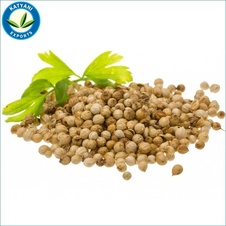 Premium Quality 100% Pure Coriander Oil: Wholesale Deals Direct from Indian Manufacturer | Bulk Coriandrum Sativum Essential Oil