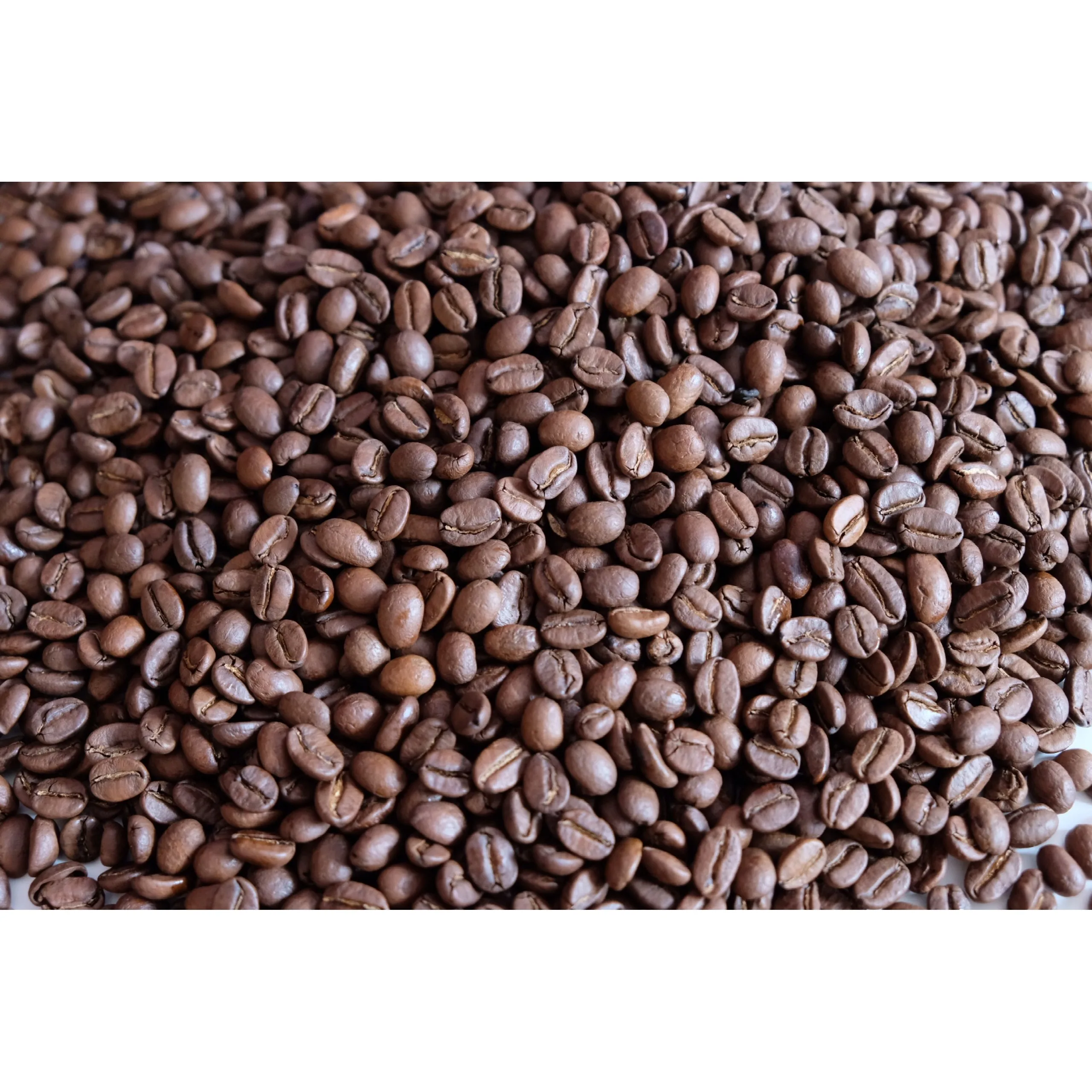 Good Price Arabica Cau Dat S16 Roasted Carpentry Coffee Beans Best Sell Coffee Roasted Beans
