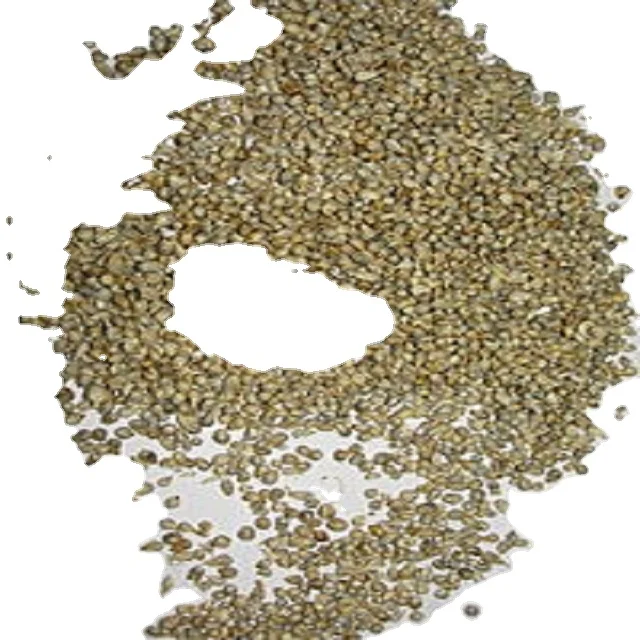 Green Millet Animal Feed Available for sale