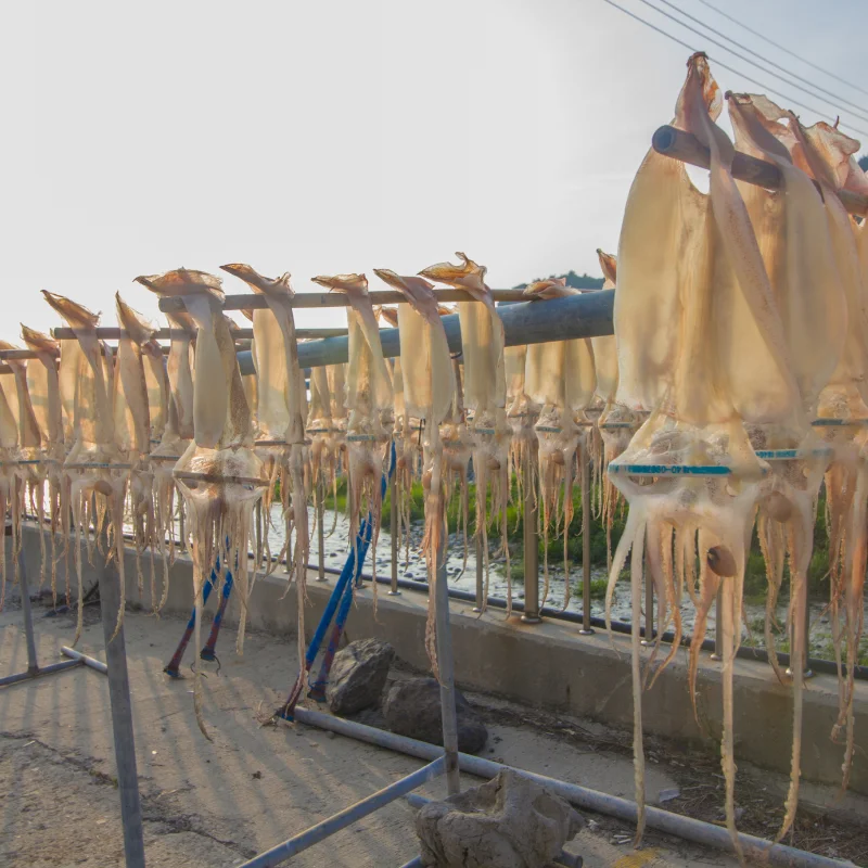 Wholesale Dried Seafood High Quality Dried Squid Sun Dry Best Price Dried Calamari For Food Ready To Ship From Vietnam