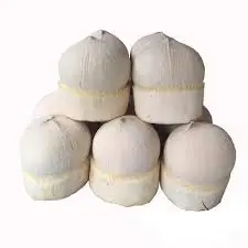Siamese Coconut - Competitive price in the export market in 2022 with high product quality