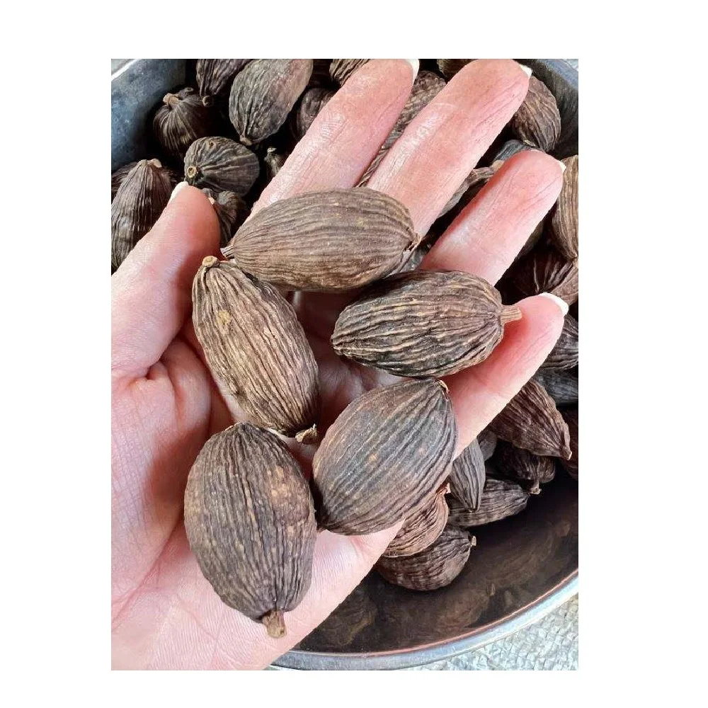 Top Selling Customization Best Price Granule Shape Organic Brown Food Spices Dried Seed Cardamom from Vietnam
