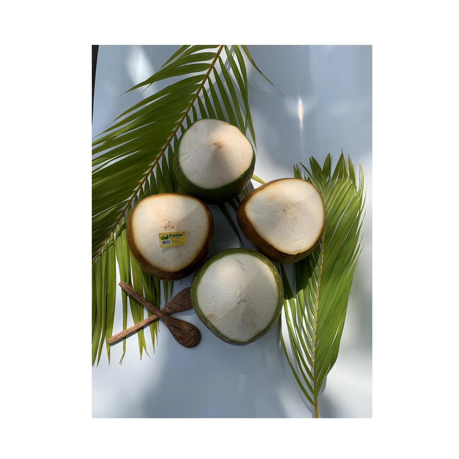 Premium Class Cling Healthy Film Wrap Fruit Lifestyle Young And Fresh Selling Coconut From Vietnam Wholesale