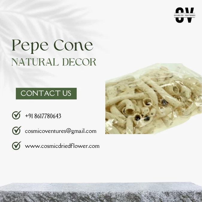 High Quality Wholesale Natural Pepe Cone for Potpourri, DIY, Events Decor & Other Dried Flower Decor