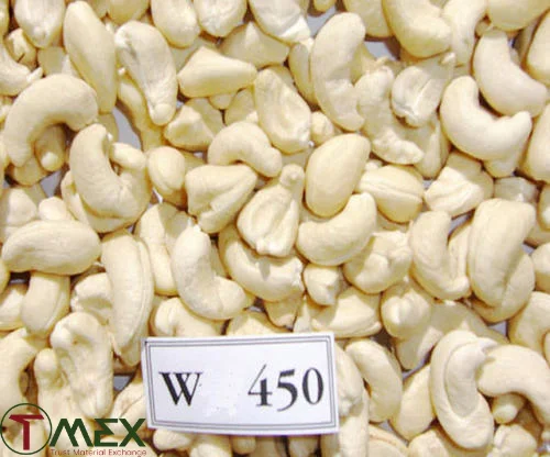 Vietnam Cashew Nuts 2022 W450 Best Seller Product Kernels From