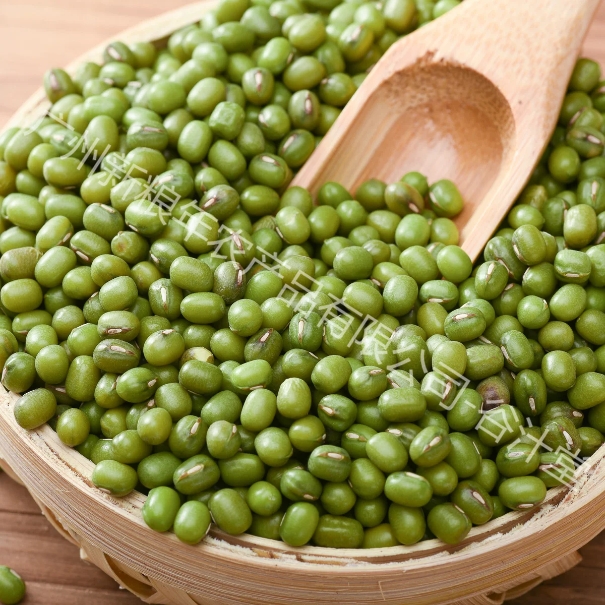 High quality, affordable plump mung beans wholesale stock