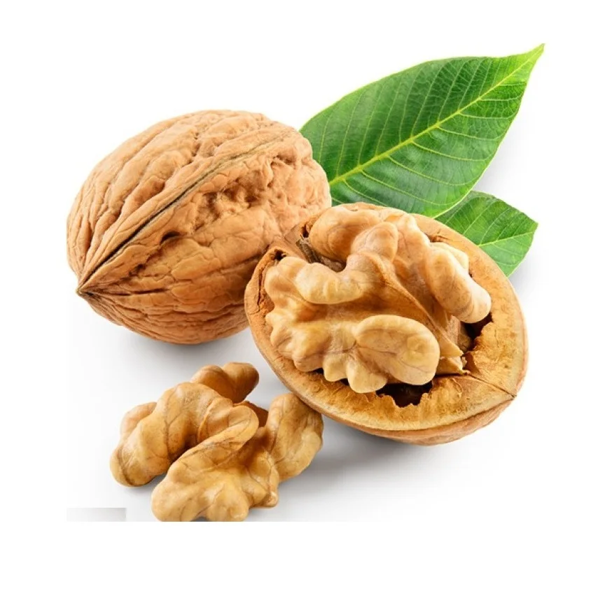 Special Discount Cheapest Walnut Inshell Manufacturer Walnut In Shell Wallnut