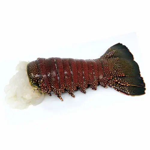 Fresh and frozen Lobster - Live Lobster - Fresh Lobster for sale.