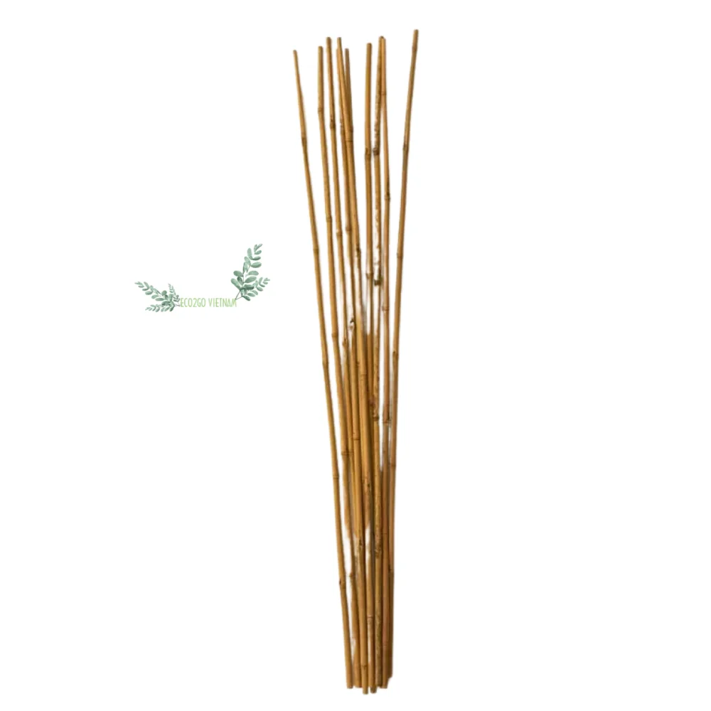 Natural Bamboo Stick For Plant/ Bamboo Stick For Supporting Flower With High Quality Bamboo in Vietnam Made by Eco2go