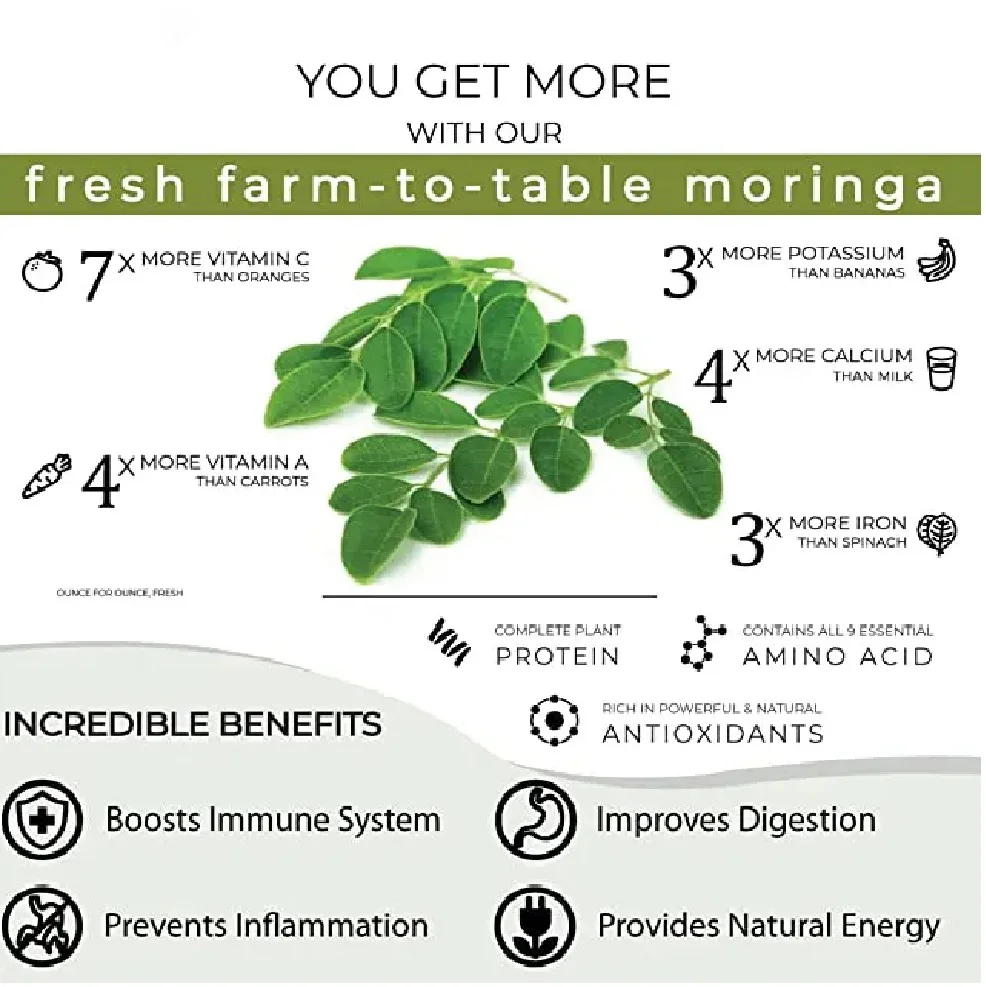 Terra Bio Organic Moringa Oleifera Leaf Powder Healthy Use for Medical Cosmetic Product Export From India