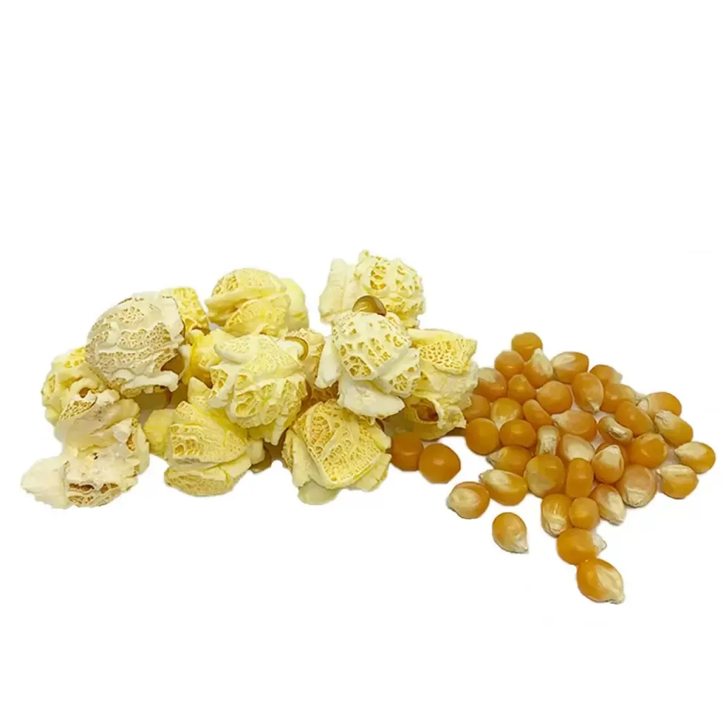 Export Quality Food Grade Popcorn kernels Bulk Wholesale Natural Dried Sale High Purity Popcorn kernels at Cheap Prices