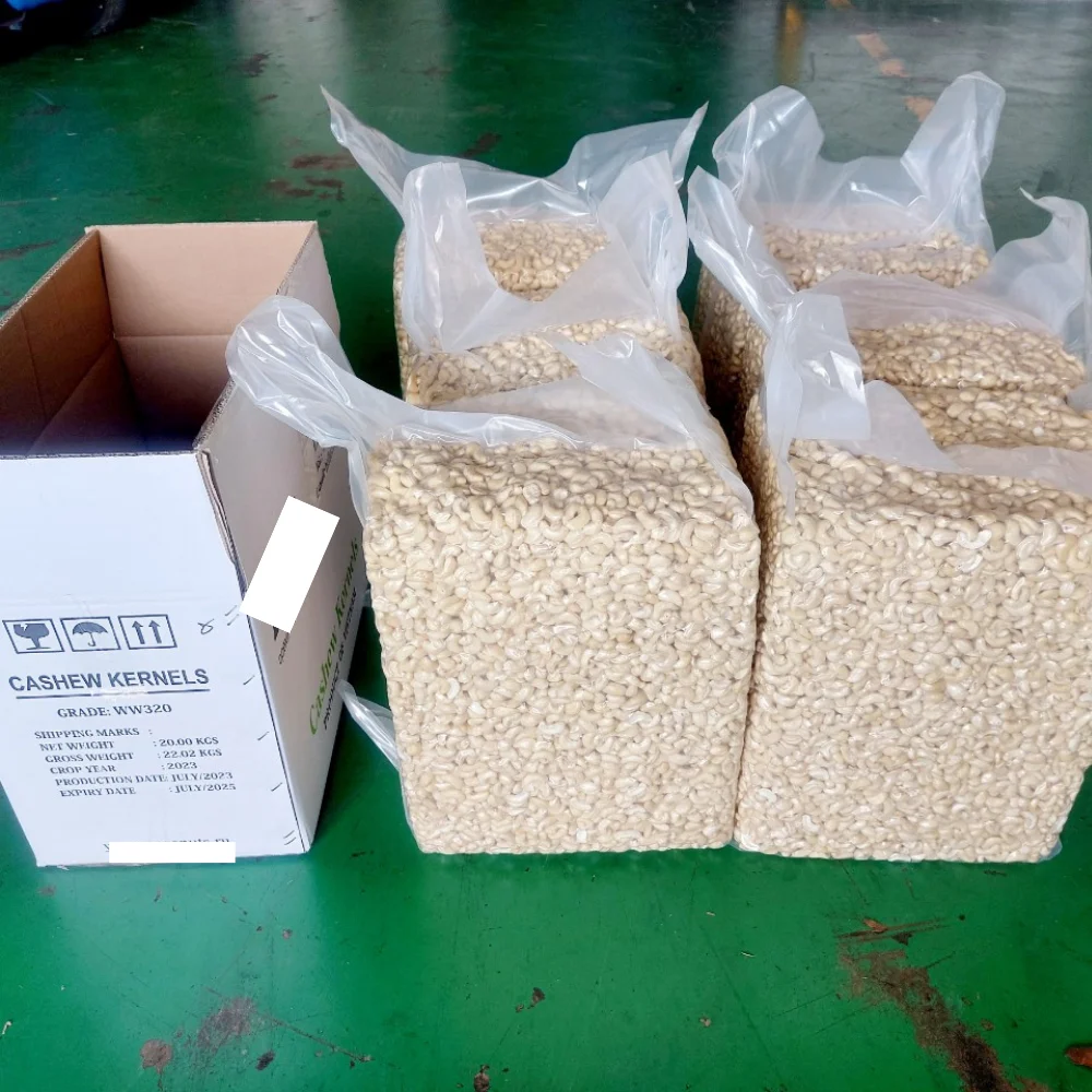 Wholesale Cheap Cashew Nuts Cashew Nuts W320 Wholesale Cashew Nuts Short Leadtime