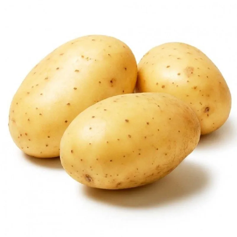 Wholesale Potato Product/potatoes for chips/ sweet potatoes wholesale fresh potato