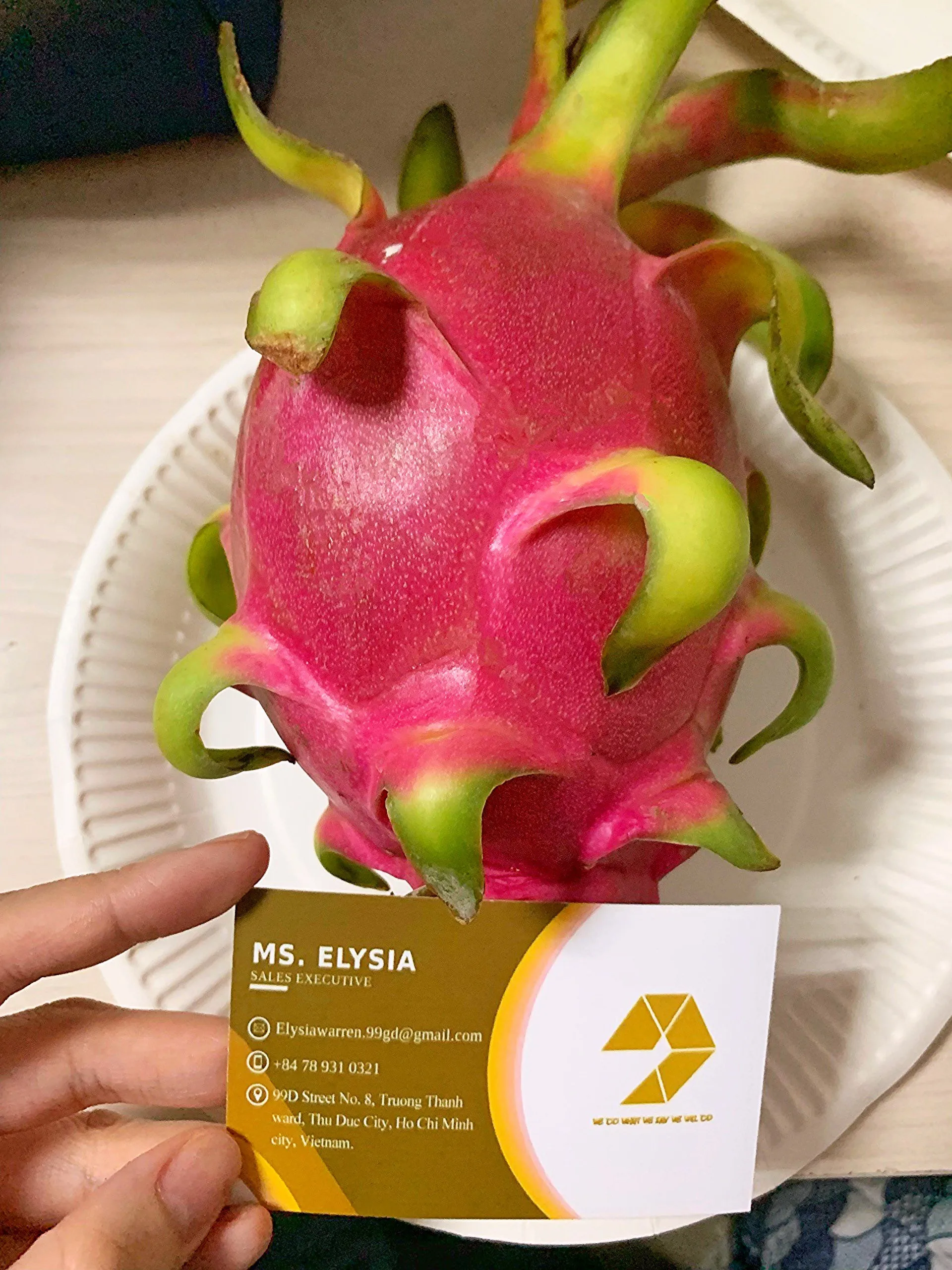 Fresh Dragon Fruit Red and White Dragon From FARM Origin Vietnam Best Price For Export  Top Supplier Fresh Fruits And Vegetables