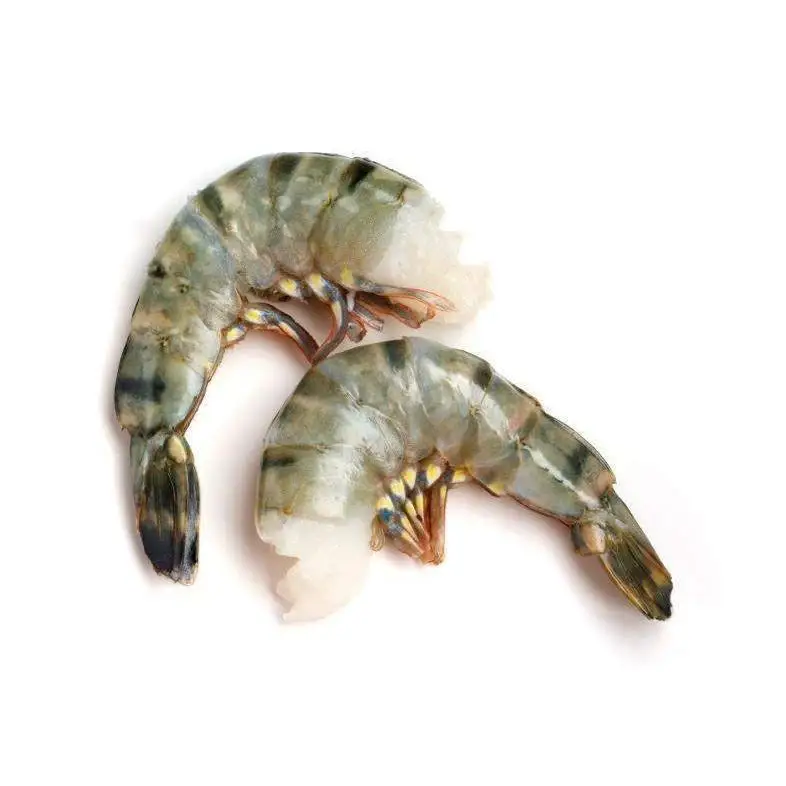 Shrimp Frozen  KOSHER Bulk Style TIME Good Packing Packaging Weight Shelf Headless Origin Latin Type Life Quality BRC